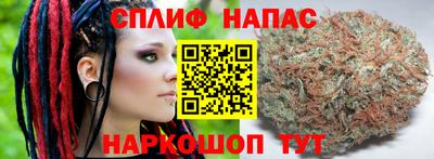 spice Рязань