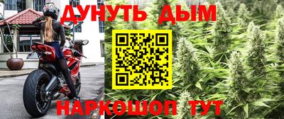 индика Рыбинск