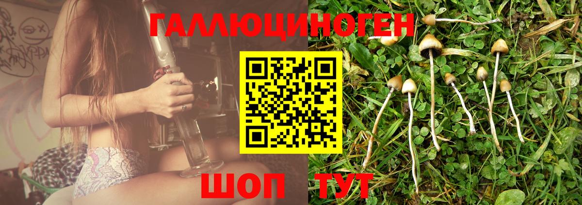 Псилоцибиновые грибы мицелий  Галлюциногенные грибы MAGIC MUSHROOMS  Вход с VPN  Осинники 